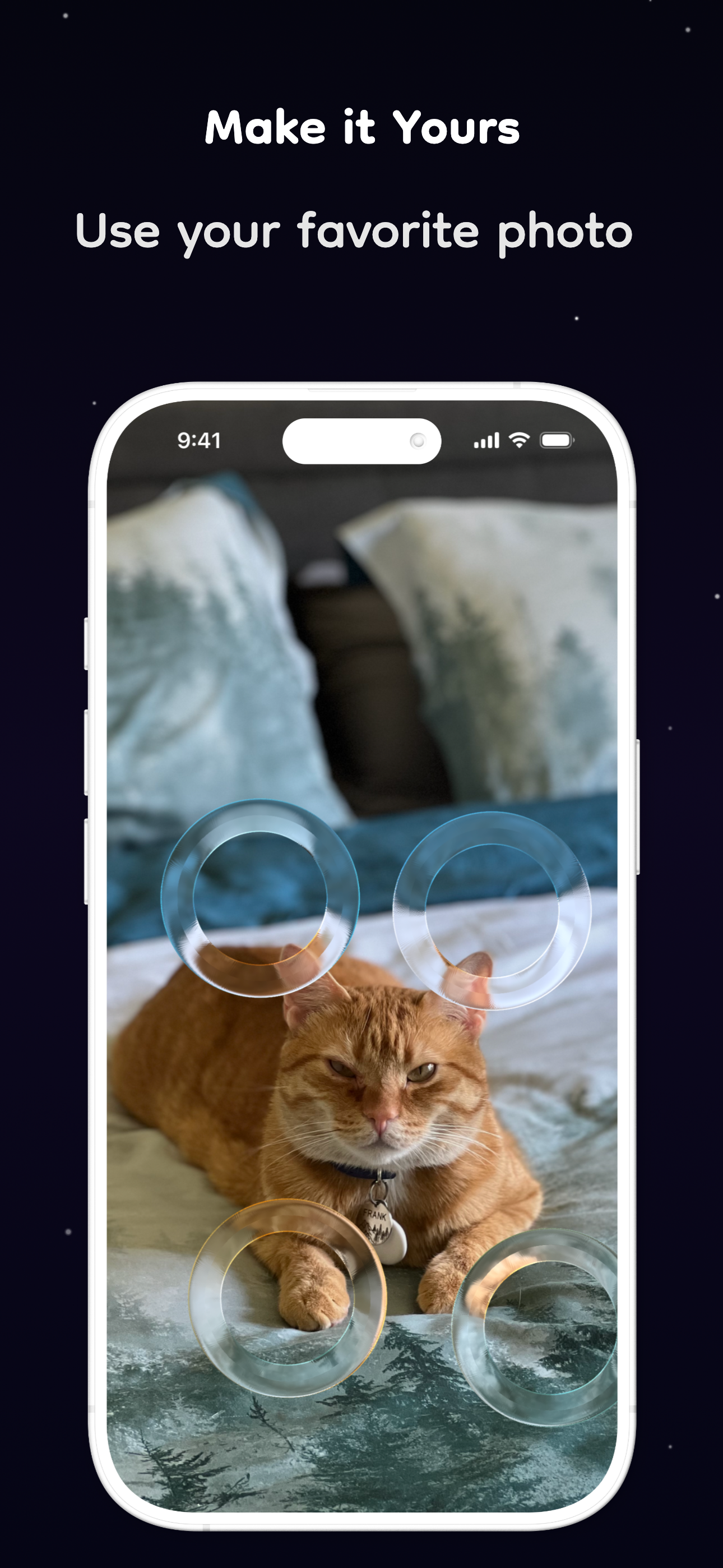 Custom photo background feature showing glass rings over a cat photo